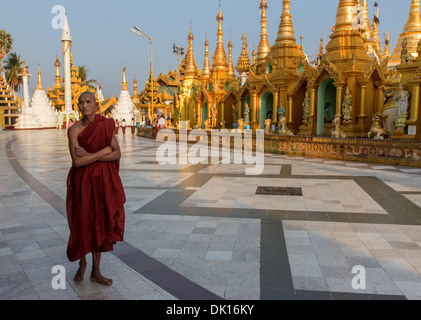 Mönch in der Pagode Shwe dagon Stockfoto