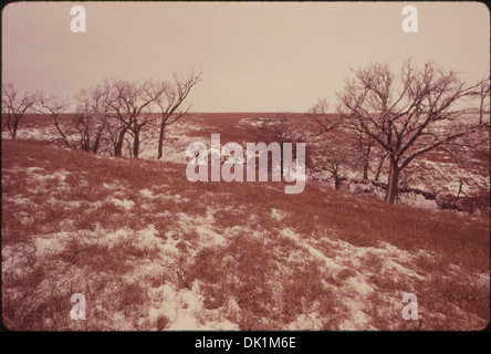 BLICK AUF DIE KONZA PRAIRIE, 1.000 HEKTAR UNBERÜHRTEN TALLGRASS PRAIRIE IN DER NÄHE VON MANHATTAN, KANSAS, IM WINTER. DIE STIMMUNG... 557193 Stockfoto