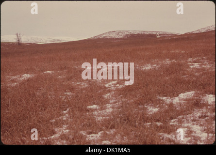 BLICK AUF DIE KONZA PRAIRIE, 1.000 HEKTAR UNBERÜHRTEN TALLGRASS PRAIRIE IN DER NÄHE VON MANHATTAN, KANSAS, IM WINTER. DIE STIMMUNG... 557195 Stockfoto