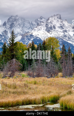 Herbst und Winter treffen, Grand Teton, Wyoming Stockfoto
