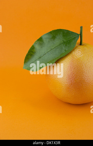 Reife appetitlich Grapefruit mit Blatt auf orangem Hintergrund. Stockfoto