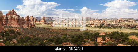 Panoramablick über einzigartige Felsspitzen im Chesler Park in der abgelegenen Nadeln Bezirk des Canyonlands National Park, Utah Stockfoto