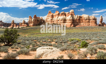 Einzigartige Felsspitzen im Chesler Park in der abgelegenen Nadeln Bezirk des Canyonlands National Park, Utah Stockfoto