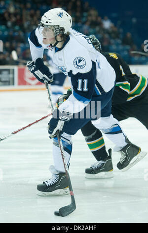 11. Februar 2011 - Saskatoon, Saskatchewan, Kanada - Saskatoon Blades Zentrum CHRIS COLLINS (#11) schießt den Puck in Aktion während der Saskatoon Blades Vs Prince Albert Raiders Spiel auf Credit Union Centre in Saskatoon. (Kredit-Bild: © Derek Mortensen/Southcreek Global/ZUMAPRESS.com) Stockfoto