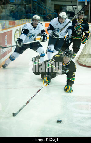 11. Februar 2011 erreicht - Saskatoon, Saskatchewan, Canada - Prince Albert Raiders Verteidiger Jordan Rowley (#27) für den Puck in Aktion während der Saskatoon Blades Vs Prince Albert Raiders Spiel im Credit Union Centre in Saskatoon. (Kredit-Bild: © Derek Mortensen/Southcreek Global/ZUMAPRESS.com) Stockfoto