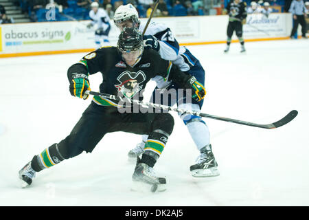 11. Februar 2011 - Saskatoon, Saskatchewan, Canada - Prince Albert Raiders Verteidiger kämpfen Mathew Berry-Lamontagna (#8) und Saskatoon Blades Zentrum Lukas Sutter (#23) für den Puck in Aktion während der Saskatoon Blades Vs Prince Albert Raiders Spiel im Credit Union Centre in Saskatoon. (Kredit-Bild: © Derek Mortensen/Southcreek Global/ZUMAPRESS.com) Stockfoto