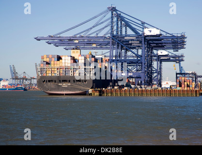 Containerschiff und Kräne im Hafen von Felixstowe, Suffolk, England Stockfoto