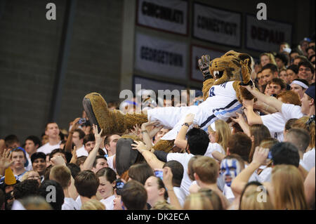 12. Februar 2011 - Villanova, Pennsylvania, USA - surft die Villanova-Maskottchen-Masse. In einem großen Osten besiegt Schlacht #4 Pittsburgh #9 Villanova 57-54, in einem Spiel im Pavillon in Villanova, Pennsylvania (Credit-Bild: © Mike McAtee/Southcreek Global/ZUMAPRESS.com) Stockfoto