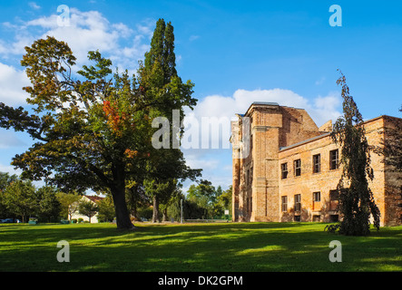 Ruine Dahme Schloss, Dahme/Mark, Brandenburg, Deutsch Stockfoto