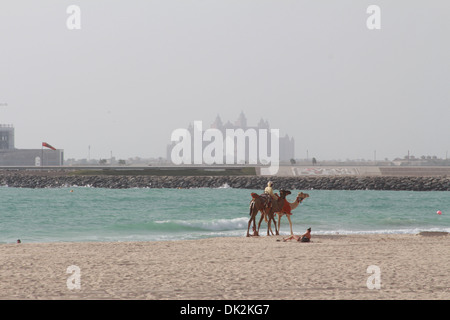 Ein Emirati Mann einem Kamel reiten am Jumeirah Beach, mit der Atlantis Hotel im Hintergrund, an einem trüben Tag. Stockfoto