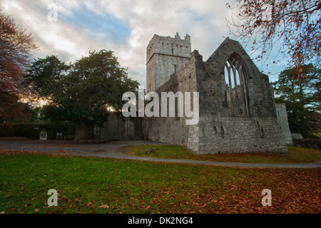 Muckross Abbey im Herbst Stockfoto