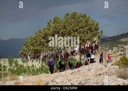 Alevitischen Menschen binden Bänder auf einem Wunsch-Baum in der Tekke Köyü Abdal Musa Schrein Elmalı Antalya Türkei Stockfoto