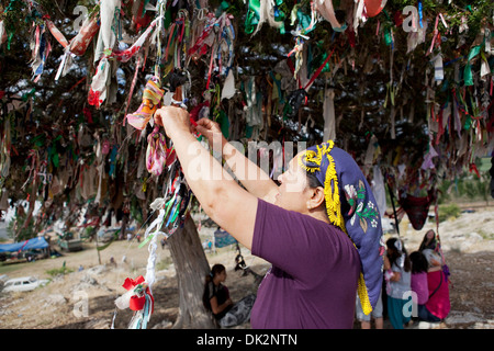 Alevitischen Menschen binden Bänder auf einem Wunsch-Baum in der Tekke Köyü Abdal Musa Schrein Elmalı Antalya Türkei Stockfoto