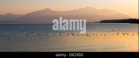 Bayerische Alpen und den See bei Sonnenuntergang, Chiemsee, Chiemgau, obere Bayern Deutschland Europa Stockfoto