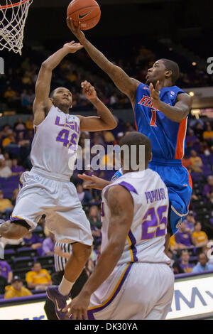 20. Februar 2011 macht - Baton Rouge, Louisiana, Vereinigte Staaten von Amerika - Florida Gator Guard Kenny Boynton (1) ein Laie in der zweiten Hälfte. Florida besiegte LSU 68-61. (Kredit-Bild: © Joseph Bellamy/Southcreek Global/ZUMAPRESS.com) Stockfoto