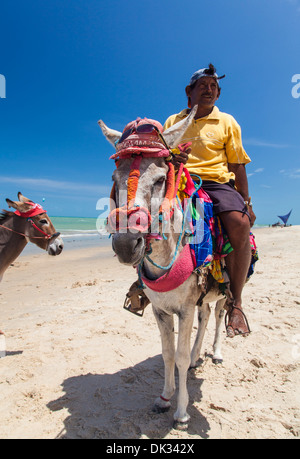 Esel reiten auf Bezirk Strand, Cumbuco, Fortaleza, Brasilien. Stockfoto