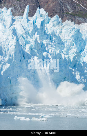 Eis Kalben, Glacier Bay in Alaska Stockfoto