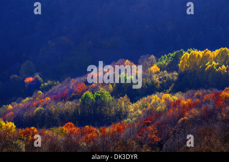 Balkan Stara Planina Bulgarien Europa Herbstlandschaft Stockfoto