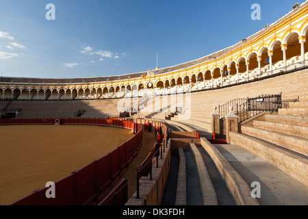 In der Plaza de Toros De La Real Maestranza (Maestranza Stierkampfarena). Stockfoto