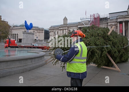 London, UK. 2. Dezember 2013. Messung der Weihnachtsbaum am Trafalgar Square in London Credit: Keith Larby/Alamy Live-Nachrichten Stockfoto