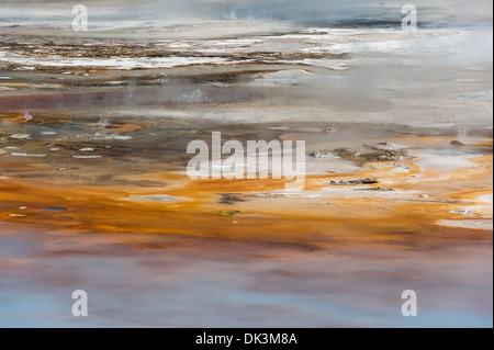 Foto von der Landschaft und thermischen Eigenschaften der Porzellan-Becken. Yellowstone-Nationalpark, Wyoming. Stockfoto