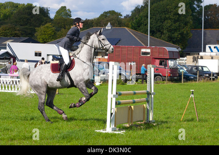 Pferd springen Eventing Kreuz Land Pferde Sport Sprung zeigen ländlichen Bauernhof Feld grau Gymkhana Godshill Isle Of Wight England UK Stockfoto