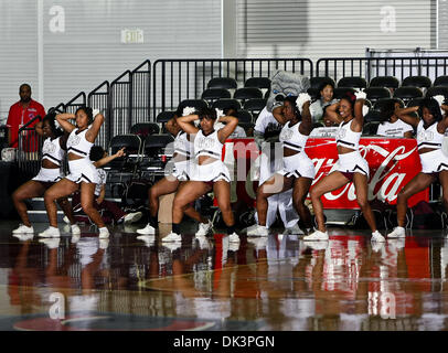 10. März 2011 - Garland, Texas, Vereinigte Staaten von Amerika - Alabama A & M Bulldogs Cheerleader in Aktion während der SWAC Turnierspiel zwischen der Alabama State Hornets und die Alabama A & M Bulldogs im Special Events Center in Garland, Texas. Alabama State Hornissen besiegen Alabama A & M Bulldogs 81 61 (Credit-Bild: © Dan Wozniak/Southcreek Global/ZUMAPRESS.com) Stockfoto