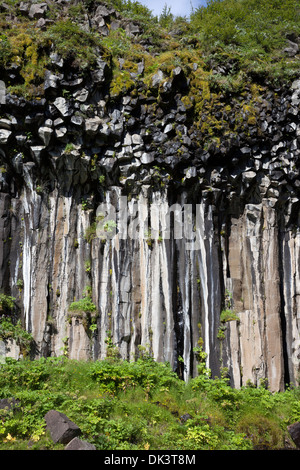 Säulenförmigen Basaltfelsen in die Schlucht Wände unterhalb des Svatifoss in der Vatnajökull-Nationalpark Skaftafell Island Stockfoto