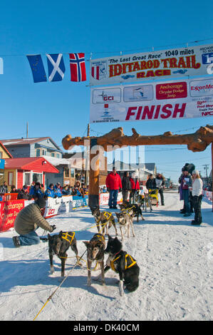 15. März 2011 - Nome, Alaska, USA - HANS GOTT kommt in Nome, 3. Platz im Iditarod 2011, Alaska zu beanspruchen (Credit-Bild: © Ron Levy/ZUMAPRESS.com) Stockfoto