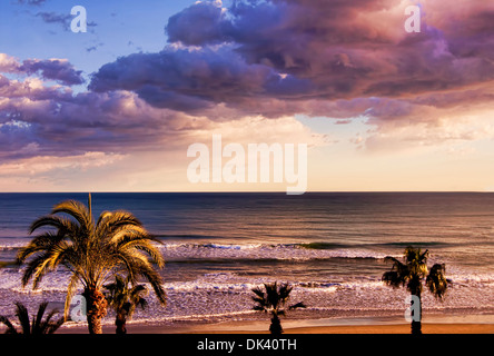 Letzten Strahlen der Sonne fangen die dramatischen bedrohlichen Wolken und Highlight der Palmen am Meeresufer, Mittelmeer, Spanien Stockfoto