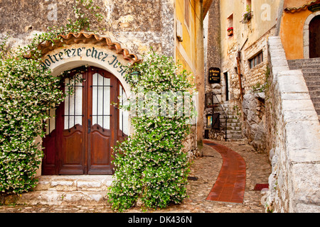 Jasmin bedeckt Eingang zum Shop in der alten Stadt von Eze, Provence Frankreich Stockfoto