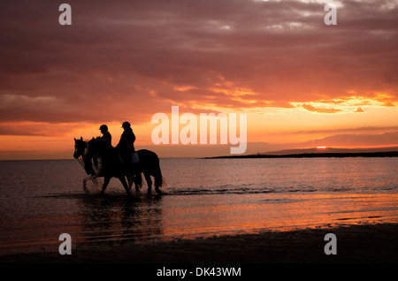 Zwei Reiter am Strand bei Sonnenuntergang reiten Trog Wasser. Stockfoto