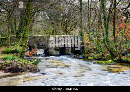 Draynes Brücke gedacht, um die erste Brücke, überqueren den Fluss Fowey, aufgenommen am Golitha fällt am Rand des Bodmin Moor Stockfoto