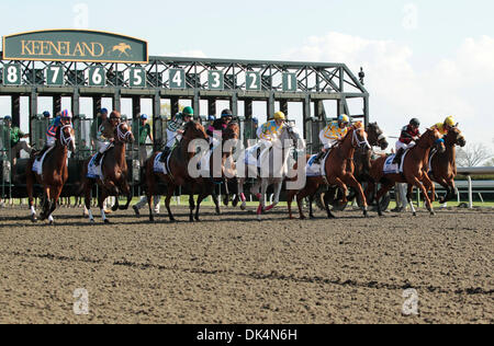 9. April 2011 - Lexington, Kentucky, USA - Pferde Links Starthaus der Ashland Einsätze, eine Note, die ich bei Keeneland Race Course in Lexington, Kentucky, auf Samstag, 9. April 2011 Rennen.  Lilacks und Spitze geritten von Javier Castellano gewann das Rennen. Foto von Pablo Alcala | Personal (Kredit-Bild: © Lexington Herald-Leader/ZUMAPRESS.com) Stockfoto