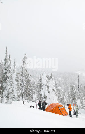 27. Februar 2011 vorbereiten - Missoula, Montana, USA - Sarah Ogburn (schwarze Jacke), Matt Cornette (graue Jacke) und Pete Barrett (orange Jacke) Camp... Skifahrer-Camp und Ski im Hinterland von den Bitterroot Bergen von Montana. (Kredit-Bild: © Jed Conklin/ZUMAPRESS.com) Stockfoto