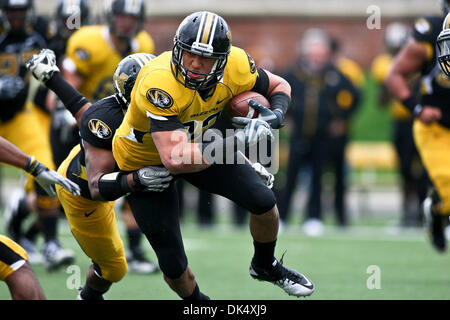 16. April 2011 - Columbia, Missouri, Vereinigte Staaten von Amerika - Missouri Tigers Linebacker Jared Parham (36) und Missouri Tigers-Tight-End Michael Egnew (82) in Aktion während der 2011 schwarz und Gold Frühling Fußball Scrimmage das gespielt wird, um das Ende der Feder kennzeichnen Training. Das Spiel wurde am Faurot Field at Memorial Stadium auf dem Campus der Universität Misso gespielt. Stockfoto