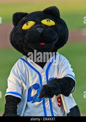 19. Juli 2011 - Fort Worth, Texas, USA - The Fort Worth Katzen Maskottchen, Dodger, in Aktion während der amerikanischen Vereinigung der Independent Professional Baseball Spiel zwischen Gary Southshore Railcats und Fort Worth Katzen auf dem historischen LaGrave-Baseball-Feld in Fort Worth, Tx. Gary Southshore Niederlagen Fort Worth 7 bis 3. (Kredit-Bild: © Dan Wozniak/Southcreek Global/ZUMAPRESS.com) Stockfoto