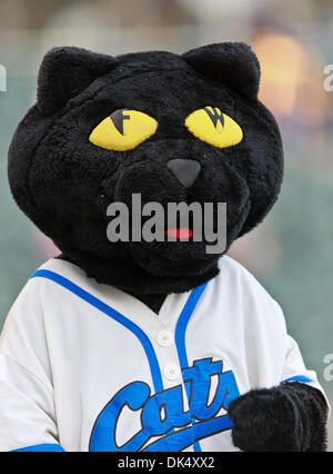 19. Juli 2011 - Fort Worth, Texas, USA - The Fort Worth Katzen Maskottchen, Dodger, in Aktion während der amerikanischen Vereinigung der Independent Professional Baseball Spiel zwischen Gary Southshore Railcats und Fort Worth Katzen auf dem historischen LaGrave-Baseball-Feld in Fort Worth, Tx. Gary Southshore Niederlagen Fort Worth 7 bis 3. (Kredit-Bild: © Dan Wozniak/Southcreek Global/ZUMAPRESS.com) Stockfoto