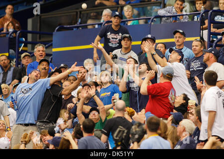 17. April 2011 - St. Petersburg, Florida, USA - Fans versuchen und aufholen einen Foul Ball während des Spiels zwischen den Tampa Bay Rays und die Minnesota Twins im Tropicana Field. (Kredit-Bild: © Lukas Johnson/Southcreek Global/ZUMApress.com) Stockfoto