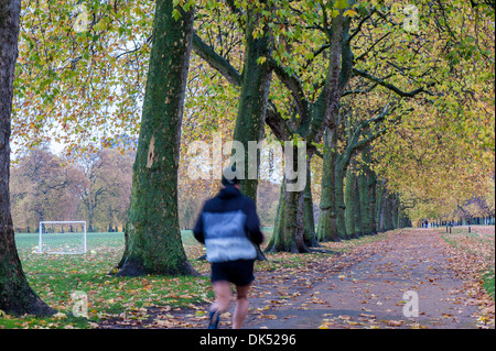 Hyde Park in Herbstfarben, London, Vereinigtes Königreich Stockfoto