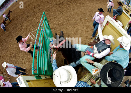 17. April 2011 - Red Bluff, Kalifornien, USA - Zack Brown von Red Bluff, CA reitet Auen an der 2011 Red Bluff Round-Up an der Tehama Stadtteil Fairgrounds in Red Bluff, CA. (Credit-Bild: © Matt Cohen/Southcreek Global/ZUMAPRESS.com) Stockfoto