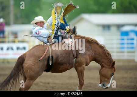 17. April 2011 - Red Bluff, Kalifornien, USA - Bobby Mote von Culver, oder reitet Beaver Feaver an der 2011 Red Bluff Round-Up an der Tehama Stadtteil Fairgrounds in Red Bluff, CA. (Credit-Bild: © Matt Cohen/Southcreek Global/ZUMAPRESS.com) Stockfoto