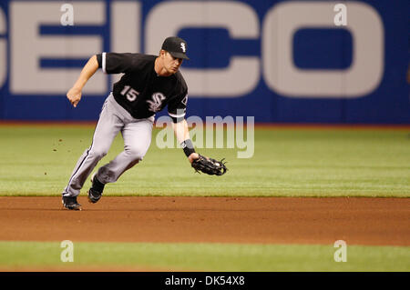 20. April 2011 - Felder St. Petersburg, Florida, USA - Chicago White Sox zweiter Basisspieler Gordon Beckham (15) einen Boden-Ball während des Spiels bis zwischen die Tampa Bay Rays und die Chicago White Sox im Tropicana Field. (Kredit-Bild: © Lukas Johnson/Southcreek Global/ZUMApress.com) Stockfoto