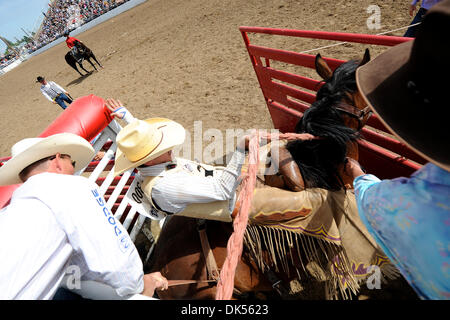 23. April 2011 - Clovis, Kalifornien, US - reitet Dustin Moody Visalia, ca Smooth Sailing am Clovis Rodeo. (Kredit-Bild: © Matt Cohen/Southcreek Global/ZUMAPRESS.com) Stockfoto