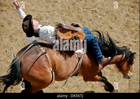 24. April 2011 - Clovis, Kalifornien, US - Fahrten Lee Lantz von Molalla, oder Angel Dust beim Clovis Rodeo. (Kredit-Bild: © Matt Cohen/Southcreek Global/ZUMAPRESS.com) Stockfoto