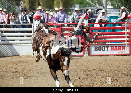 24. April 2011 - Clovis, Kalifornien, USA - Fahrten Cody Wright von Milford, UT Kapitän beim Clovis Rodeo. (Kredit-Bild: © Matt Cohen/Southcreek Global/ZUMAPRESS.com) Stockfoto