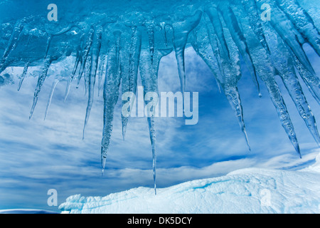 Antarktis, hängen Eiszapfen aus Eisberg in der Nähe von Enterprise Insel entlang der Wilhelmina Bay entlang der antarktischen Halbinsel Stockfoto