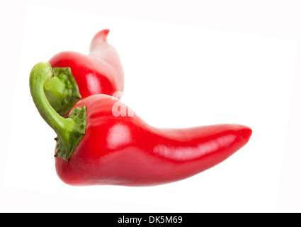 Zwei rote heiße Jalapeño Paprika auf weißem Hintergrund Stockfoto