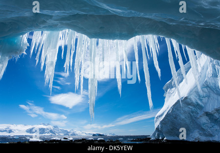 Antarktis, Höhle Eiszapfen hängen von der Mündung des Gletschereis Gerlache Strait entlang der antarktischen Halbinsel Stockfoto