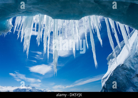 Antarktis, Höhle Eiszapfen hängen von der Mündung des Gletschereis Gerlache Strait entlang der antarktischen Halbinsel Stockfoto